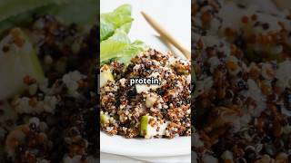 The Best PlantBased Proteins Top 5 Ranked [upl. by Alliw]