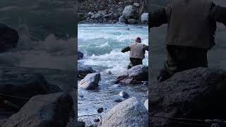 Its not easy to put a really big salmon in a net I ❤️ salmon fishing Vedder river Canada 🇨🇦 33 [upl. by Bainbrudge927]