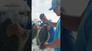 Are Flounder in NC as endangered as the state says Check out the latest episode of OIFC TV [upl. by Yremrej]