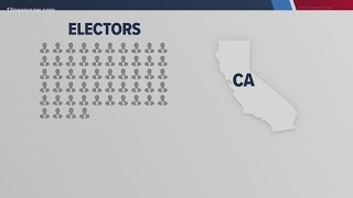 How does the electoral college work [upl. by Hepza]