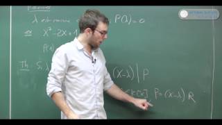 Les polynômes Cours maths sup BCPST prépa HEC [upl. by Latsyrd]