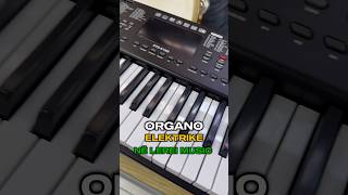 Organo Elektrike [upl. by Tecil471]