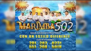 MARIMBA 502 OJITOS VERDES Cover 2022 [upl. by Sonahpets555]