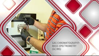 Gas ChromatographyMass Spectrometry [upl. by Hagile]