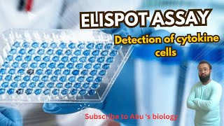 Elispot assay cytokine cell detection  Principle diagramatic representationcsirnet [upl. by Wyck]