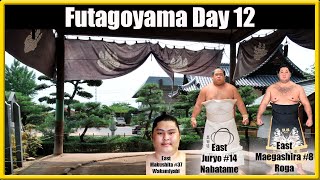 Grand Sumo Day 12 Futagoyama Beya Nov2024 Wakamiyabi [upl. by Bohner]