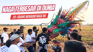 Munculnya Layangan Naga Maruto Terbesar di Dunia  Festival Layangan Hongolono Ponorogo 2024 [upl. by Atteuqram]