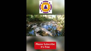 Reed Creek  Asheville Botanical Gardens 4K Video botanicalgarden asheville shorts [upl. by Oscar298]