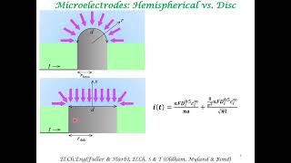 Microelectrodes [upl. by Sivel]