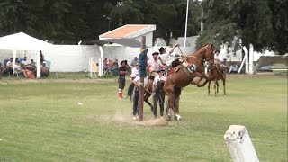 La mejor quotJINETEADAquot de quotARGENTINAquot se vivo en Chajan [upl. by Brackett140]