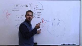 Immunology Neutrophil Lecture 3 Part 9 [upl. by Lyndel748]