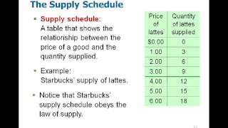 Microeconomics Chapter 4 [upl. by Heyra247]