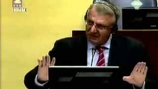 Seselj vs exp AMRadic2rm [upl. by Hild]