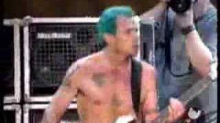 Red Hot Chili Peppers  Easily live  Woodstock 99 [upl. by Gottfried110]