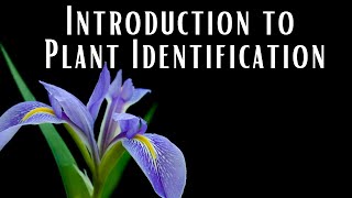 Introduction to Plant Identification [upl. by Layap]