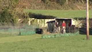 Enniscorthy Coursing Club 2014 [upl. by Sibley]