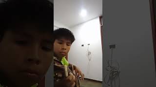 Limoncito Verde en guitarra musica Thiago [upl. by Ninehc]