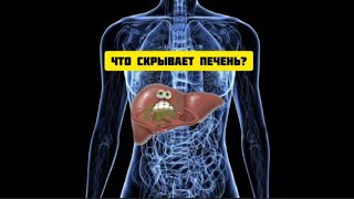 ЧТО СКРЫВАЕТ ПЕЧЕНЬ рак гепатозпечени психосоматика здоровье cancer психология медитация [upl. by Monte]