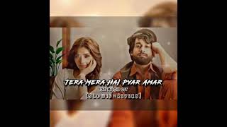 Tera Mera Hai Pyar Amar Slowed Reverb [upl. by Vasili]