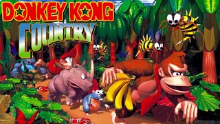 Donkey Kong Country  Full Game 101 Walkthrough [upl. by Lizabeth560]