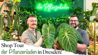 Pflanzen Shop Tour  derPflanzenladen  Dresden [upl. by Cataldo]