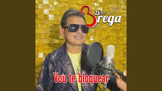 Vou Te Bloquear [upl. by Eneloj480]