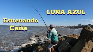 FUI A ESTRENAR CAÑA PESCA VARIADA EN LUNA AZUL COCINARON UN DORADO LO PRUEBO POR PRIMERA VEZ [upl. by Ahsiled]