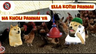 Kholi Pannai ya na Prank call 🔞  Ella kothi pannai 😂 [upl. by Lundquist]