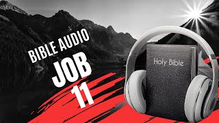 JOB 11  LA BIBLE AUDIO avec textes [upl. by Draner]