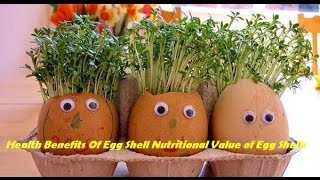 Health Benefits Of Egg Shell Nutritional Value of Egg Shells [upl. by Nichol]