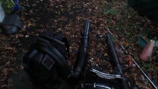 Br 800 vs Br600  Stihl leaf blower [upl. by Nordna]