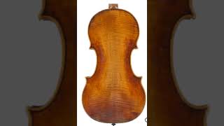 1643 Nicolò Amati Violin Dutch Musical Instruments Foundation [upl. by Malloy]