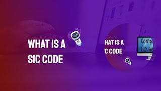 SIC Codes What is it and how does it work [upl. by Elimac]