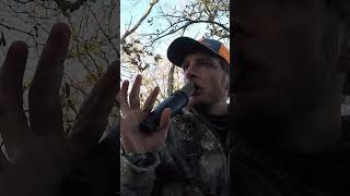 Deer Hunting The Rut  Public Land Whitetails [upl. by Hahsi170]