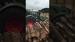 Musmax 10xl fendt 939 chipping [upl. by Dylan429]