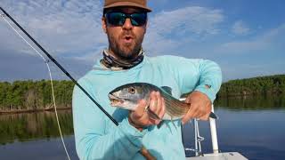 Bonefish on fly summertime in Miami [upl. by Lyrpa592]