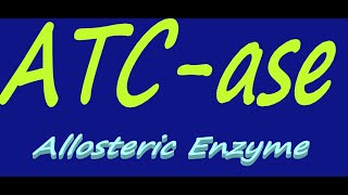 ATCase  Aspartate Trans Carbamoylase  Allosteric Enzyme  By Dorka Beri [upl. by Nylhtac340]