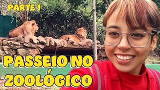 VISITAMOS O ZOOLÓGICO DE SP  PASSEIO ESCOLAR EPISÓDIO 1  COISAS DA LUNA [upl. by Anaujit941]