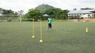 Falconets Training [upl. by Aiveneg]