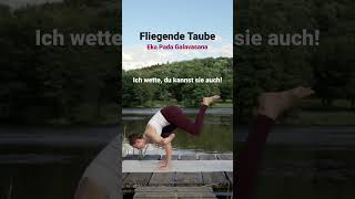 Flying Pigeon  Fliegende Taube in 50 Minuten lernen 🌞🧘🏽‍♀️🧘🏼 shorts [upl. by Bergin330]