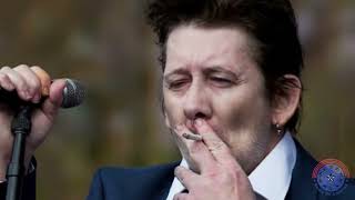 Shane Macgowan Music journey in a MINUTE [upl. by Nerac]