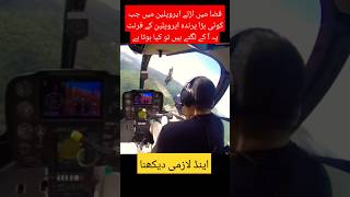 Plane and bird in midairyoutubeshorts trendingshort viralvideo shortsfeed military [upl. by Eilahs]