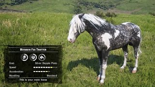 Best amp Proper Way to Get the Fastest Missouri Fox Trotter Horse Early  RDR2 [upl. by Odilo]