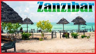 Zanzibar Island Landscape Cinematic Video [upl. by Econah662]