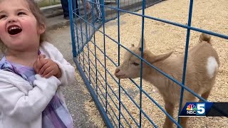 Enosburg Falls celebrates 67th VT Dairy Festival [upl. by Irpac]