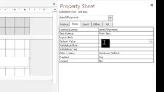 setting default values on forms  access [upl. by Omsoc157]