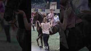 Haylen Witmer  Worlds Championship Horse Show [upl. by Garceau]