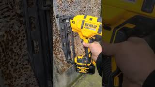 Power Tool tip NEVER OIL A DEWALT GUN powertools dewalt tip deandohertygreaser [upl. by Anoyk]