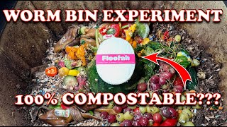 Can Compost Worms Handle a Floofah Testing a Loofah Sponge in My Worm Bin  Vermicompost Worm Farm [upl. by Berlinda]