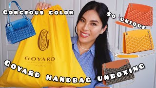 Goyard Rouette Handbag Unboxing💙💚🧡 [upl. by Mcdowell956]